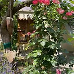 Jugendstil-hof Bed & Breakfast