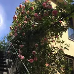 Bed & Breakfast Jugendstil-hof Langenlonsheim