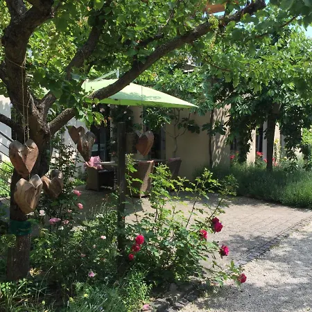 新艺术-霍夫酒店 Langenlonsheim