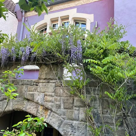 Jugendstil-hof Panzió 5*