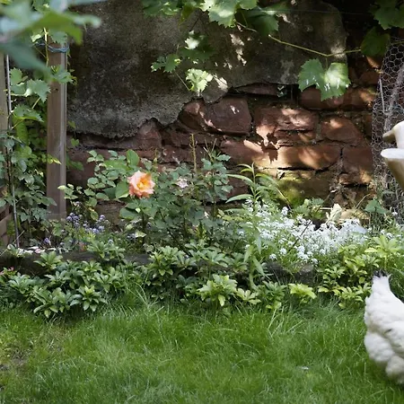 Jugendstil-hof B&B Langenlonsheim