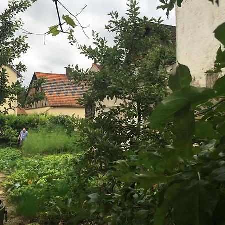 Oda ve Kahvaltı Jugendstil-hof