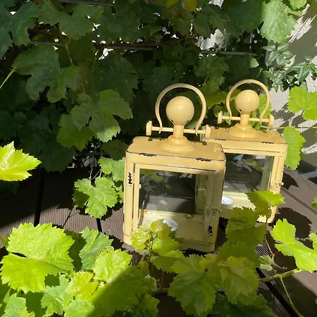 Jugendstil-hof Alojamento de Acomodação e Pequeno-almoço 5*