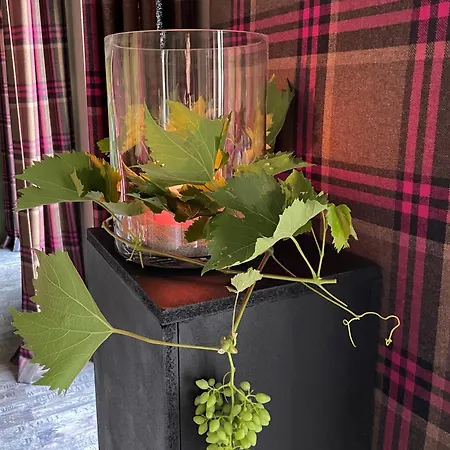 Alojamento de Acomodação e Pequeno-almoço Jugendstil-hof