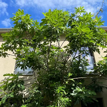 Jugendstil-hof Alojamento de Acomodação e Pequeno-almoço