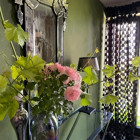 新艺术-霍夫酒店 住宿加早餐酒店 5*