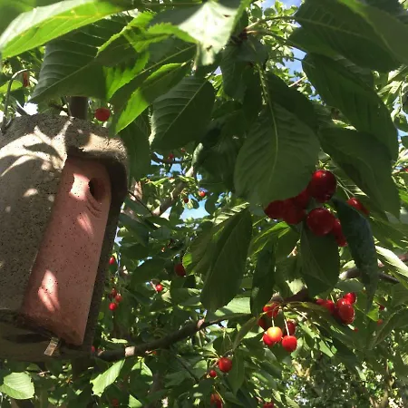 Jugendstil-hof Alojamento de Acomodação e Pequeno-almoço