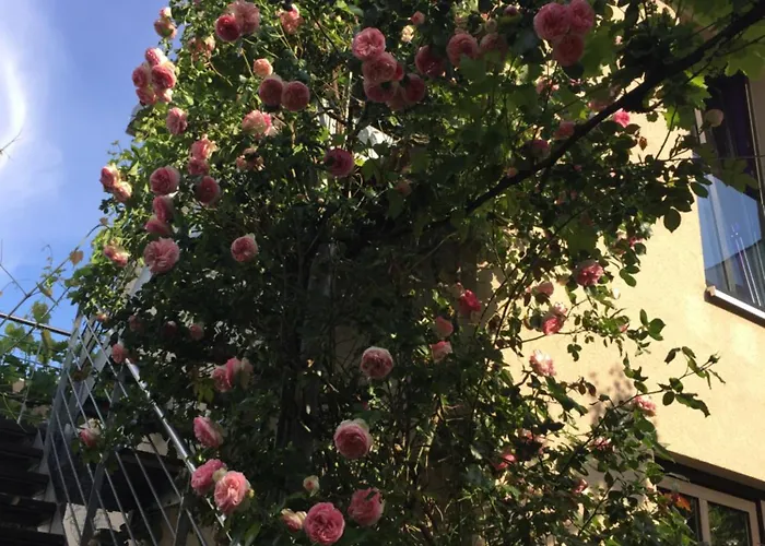 Frühstückspension Jugendstil-hof Langenlonsheim