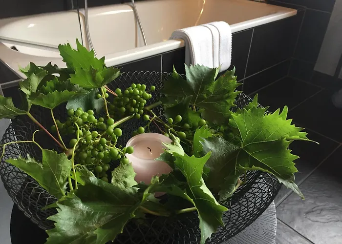 Jugendstil-hof Langenlonsheim