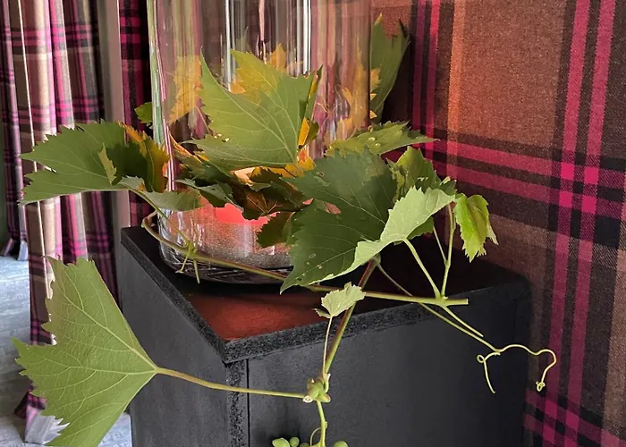 Frühstückspension Jugendstil-hof