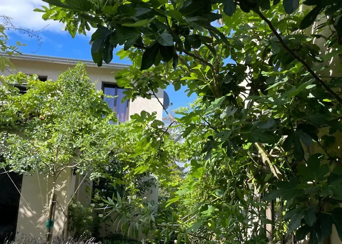 Jugendstil-hof Frühstückspension