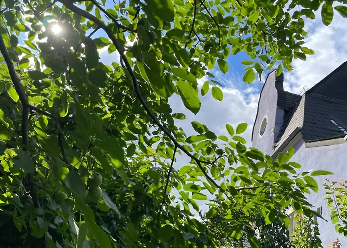 Jugendstil-hof 5* Langenlonsheim