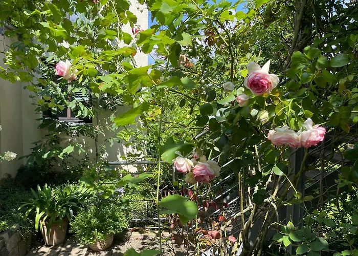 Jugendstil-hof Frühstückspension 5*