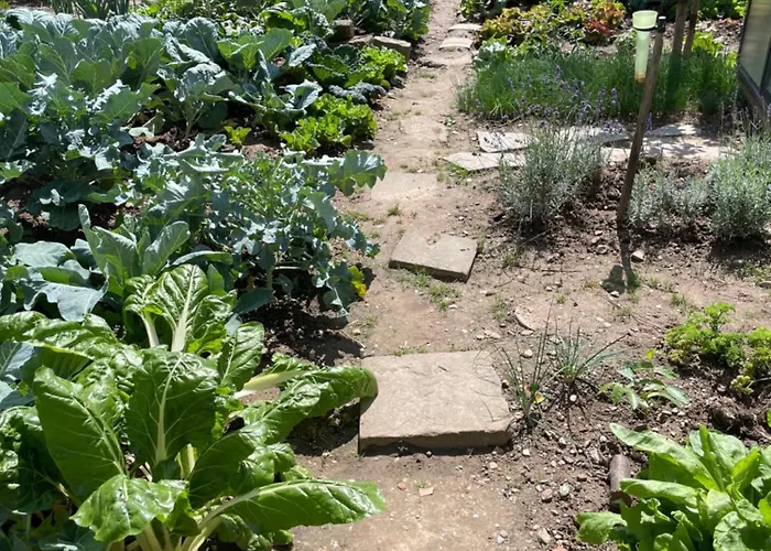 Frühstückspension Jugendstil-hof