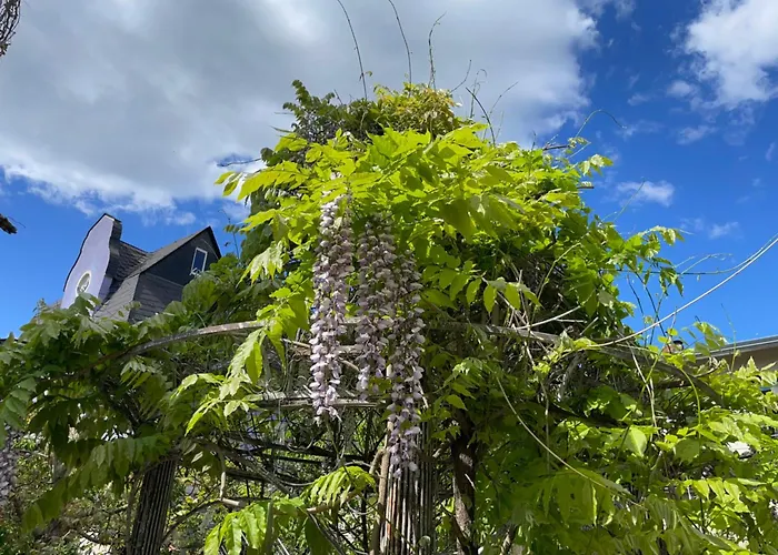 Frühstückspension Jugendstil-hof