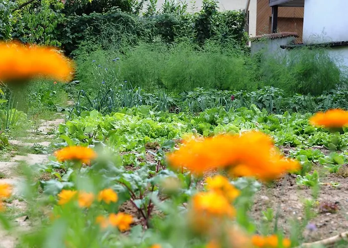 Jugendstil-hof Frühstückspension Langenlonsheim