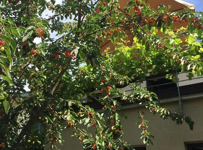 Jugendstil-hof Frühstückspension Langenlonsheim